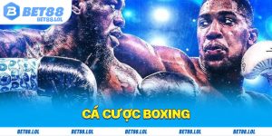 Cá Cược Boxing: Các Loại Kèo Hay Trong Môn Thể Thao Sức Mạnh