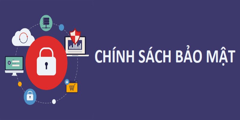 Những chính sách này đem lại quyền lợi tối ưu cho hội viên